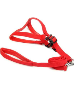 Adjustable Harness & Leash Set M-L