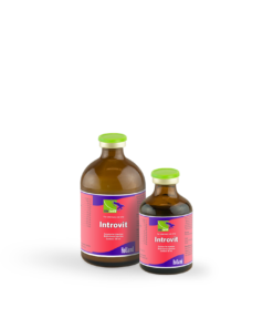 Introvit- Multivitamin Injection